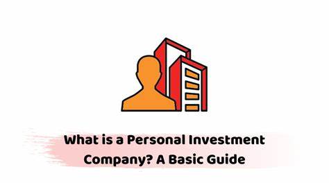 What Is a Personal Investment Company? Benefits and Tax Implications